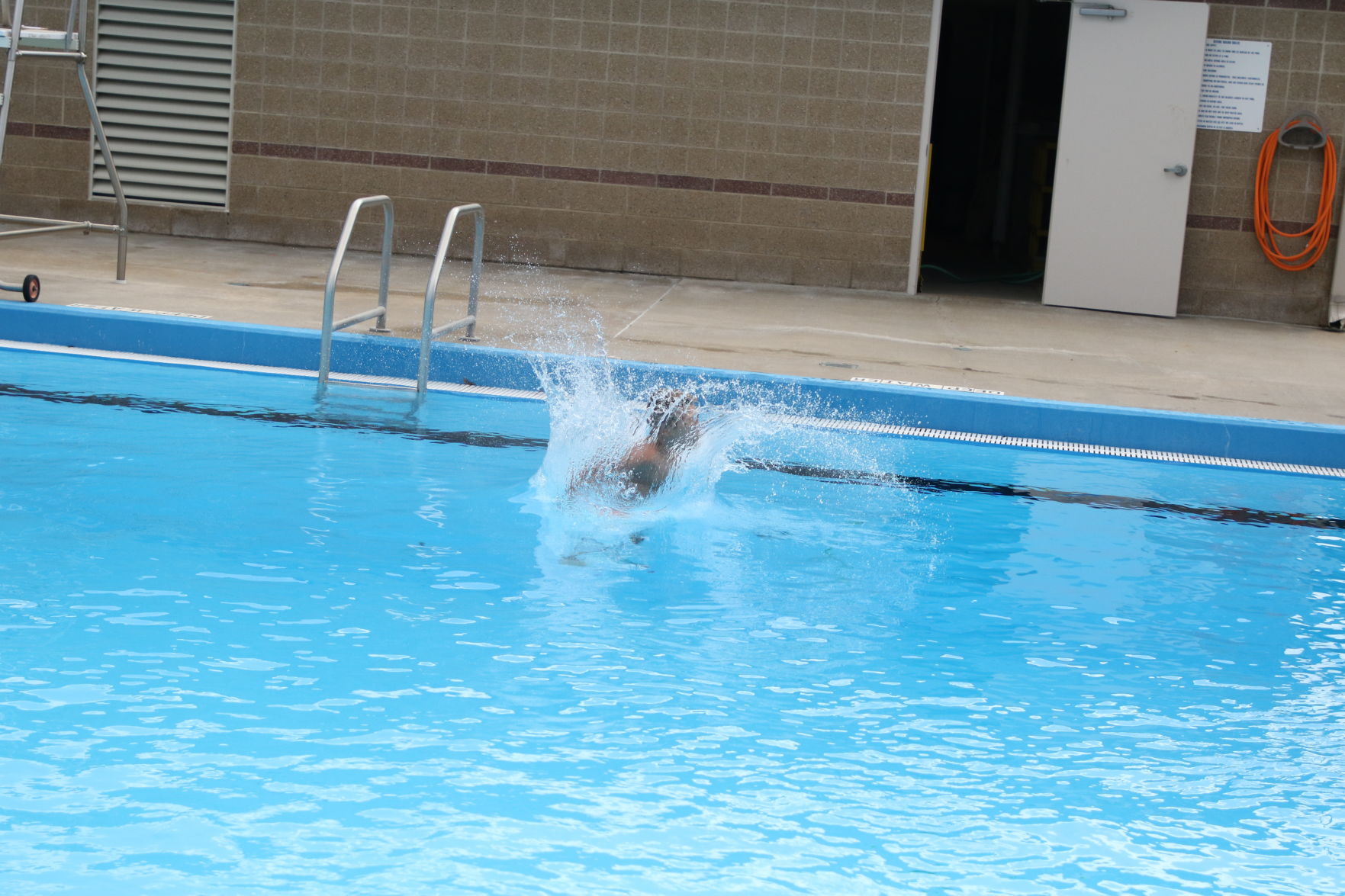 Dogs at the pool (31).JPG